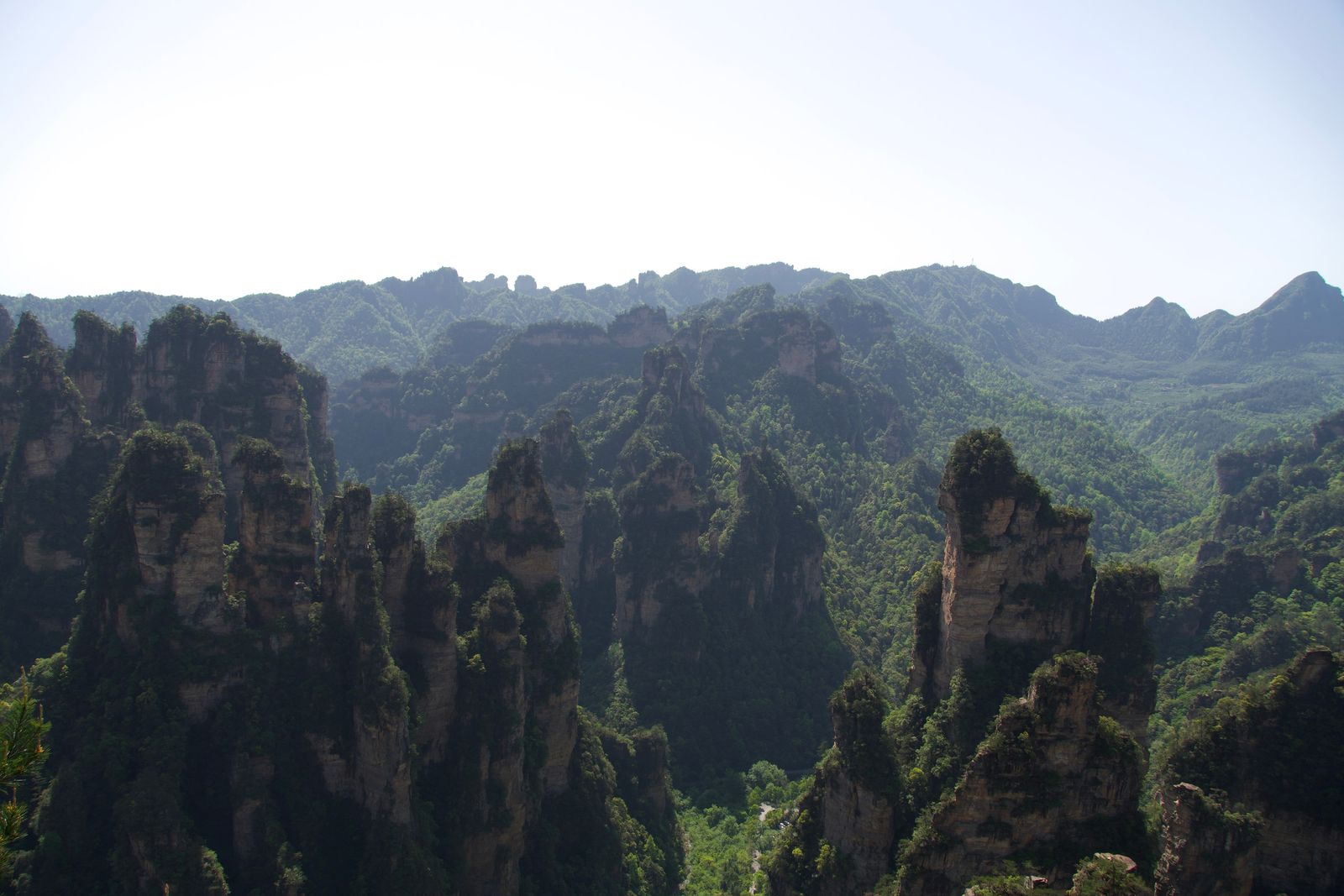 Forested rock pillars above wooded valleys and green ridges, Zhangjiajie