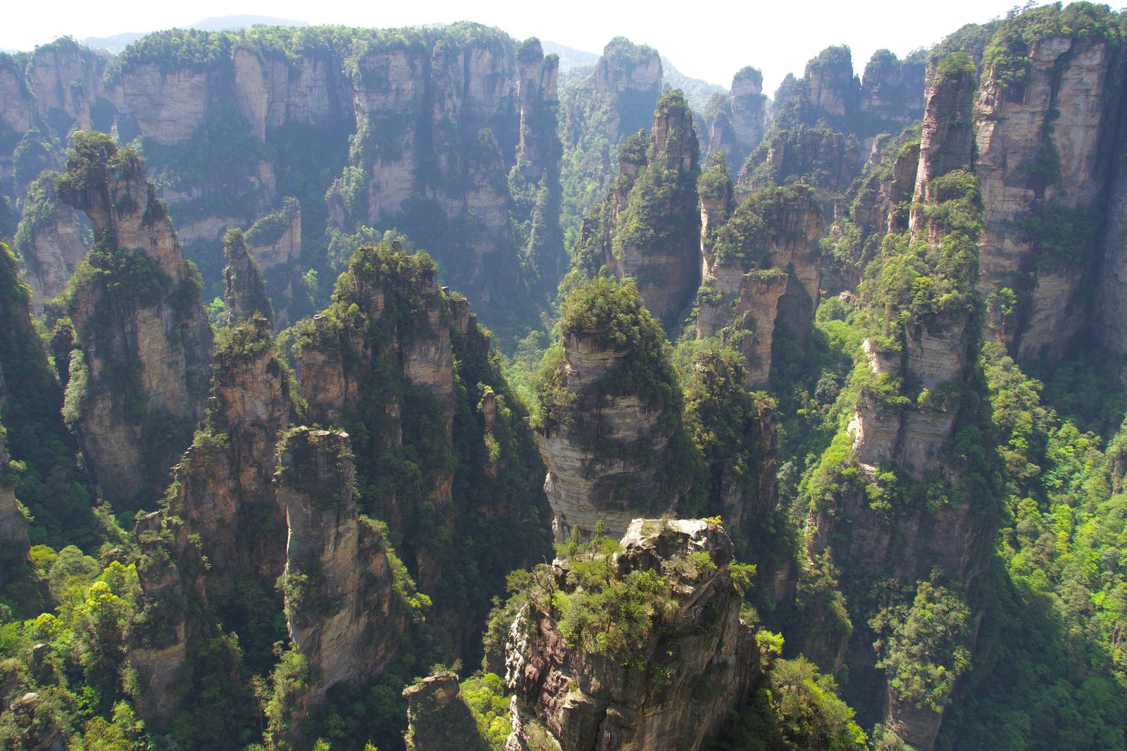 Tree-covered rock pillars above wooded ravines beneath broad cliffs, Zhangjiajie