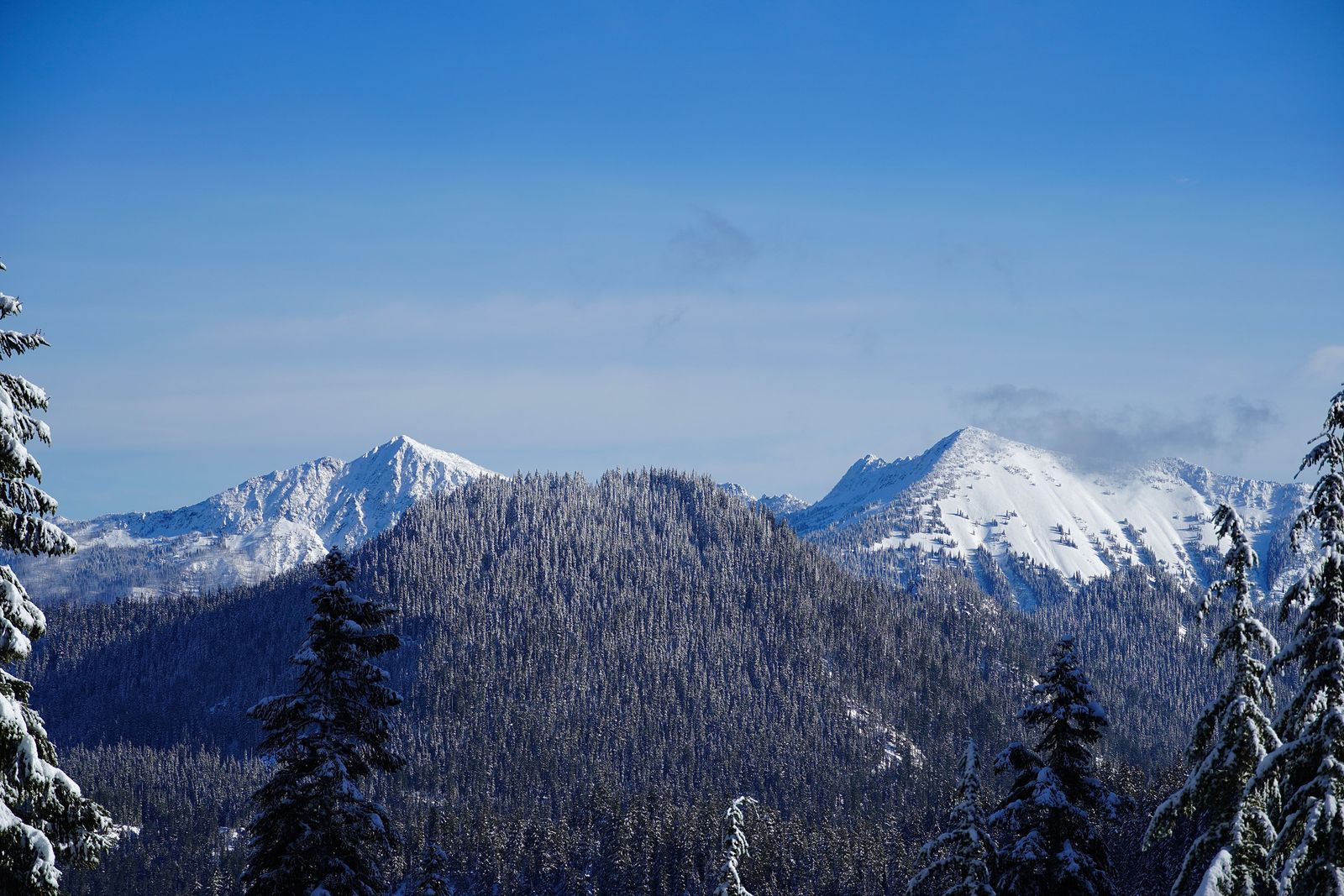 Cascade Mountains above a snow-covered forest ridge, Lake Valhalla