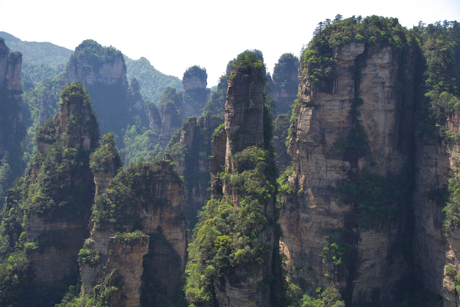Rock pillars beside a broad cliff and hazy wooded ridges, Zhangjiajie