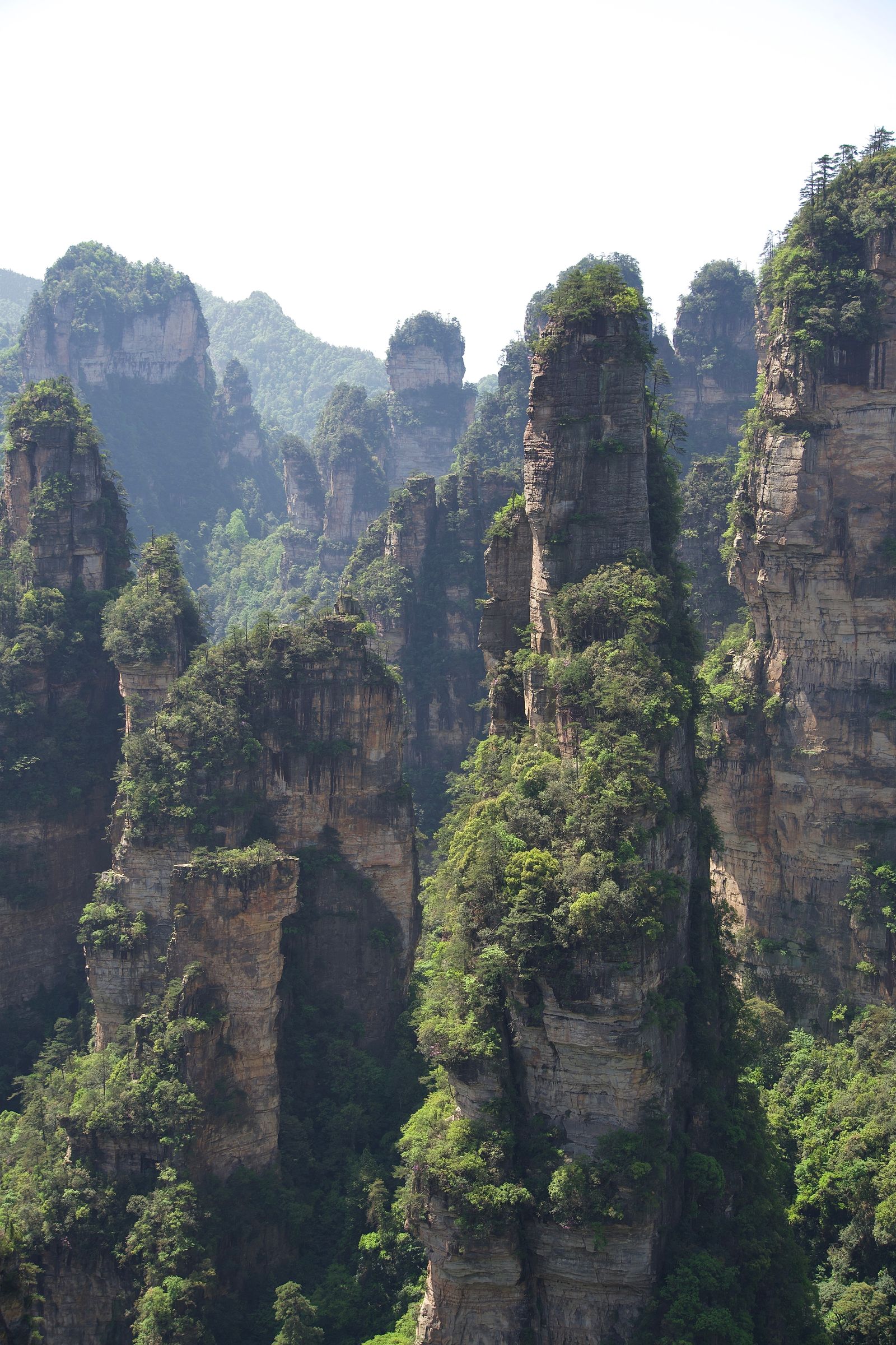 Tree-covered rock pillars with layered faces above forested gullies, Zhangjiajie