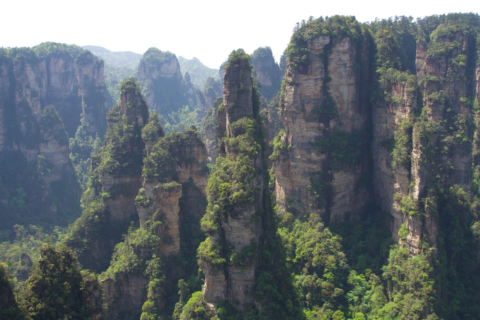 Tree-covered rock pillars above a wooded valley beneath distant cliffs, Zhangjiajie