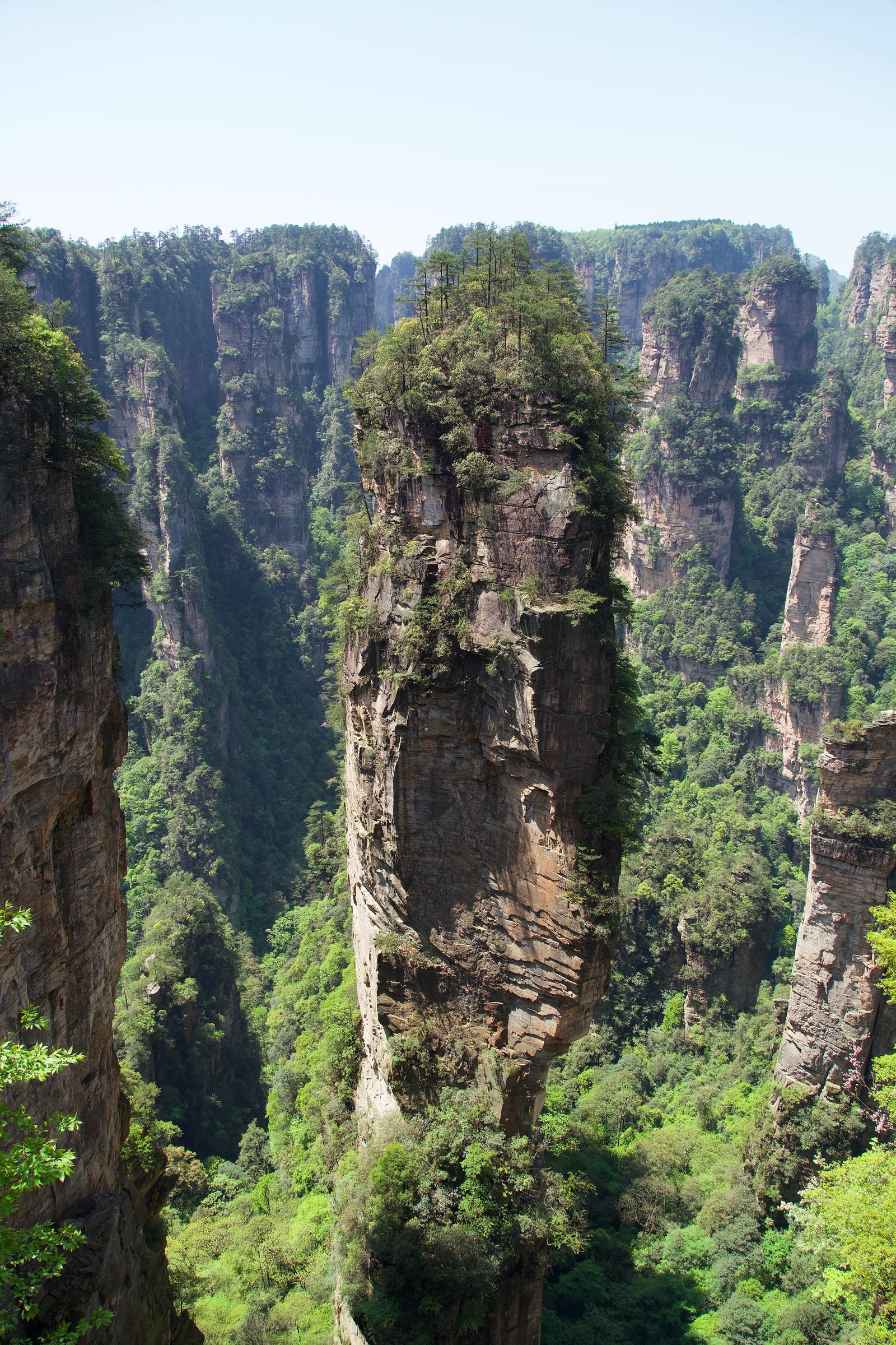 A tree-topped rock pillar above forest among steep cliffs, Zhangjiajie