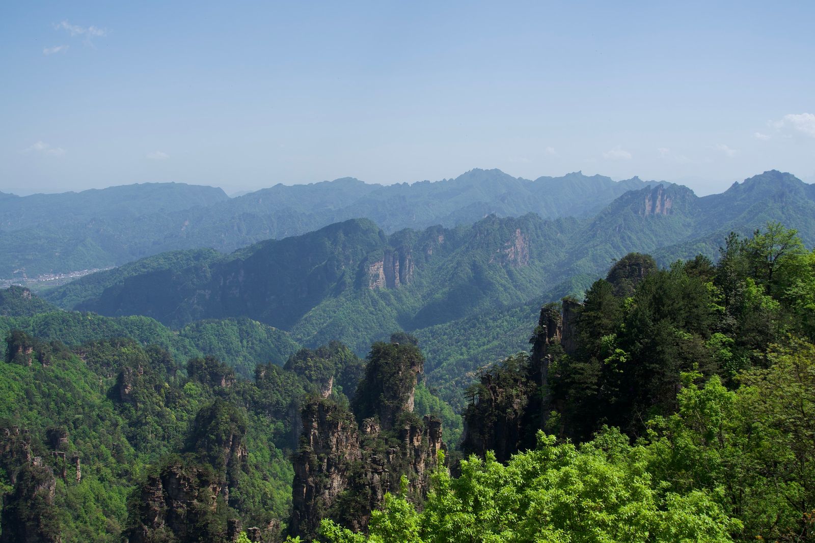 Forested rock pillars above wooded slopes and distant ridges, Zhangjiajie