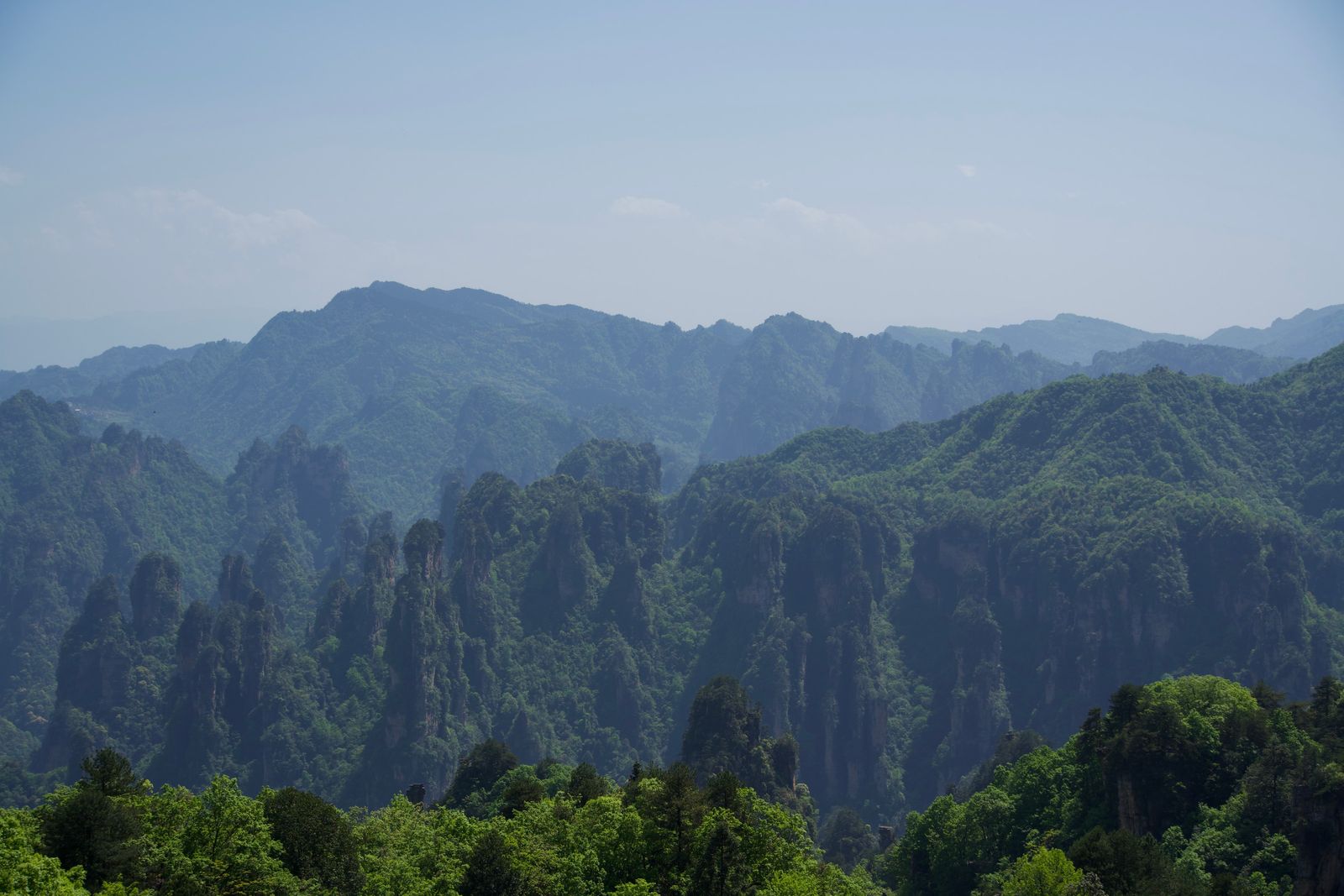 Forest-covered rock pillars above wooded valleys in haze, Zhangjiajie