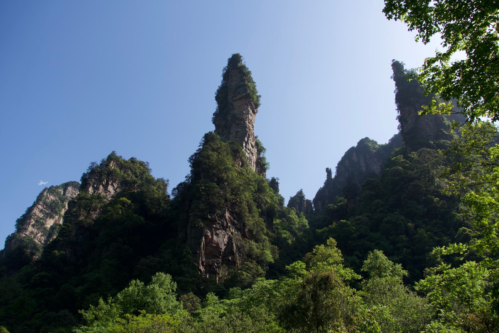 Rock pillars with exposed cliff faces above dense trees, Zhangjiajie