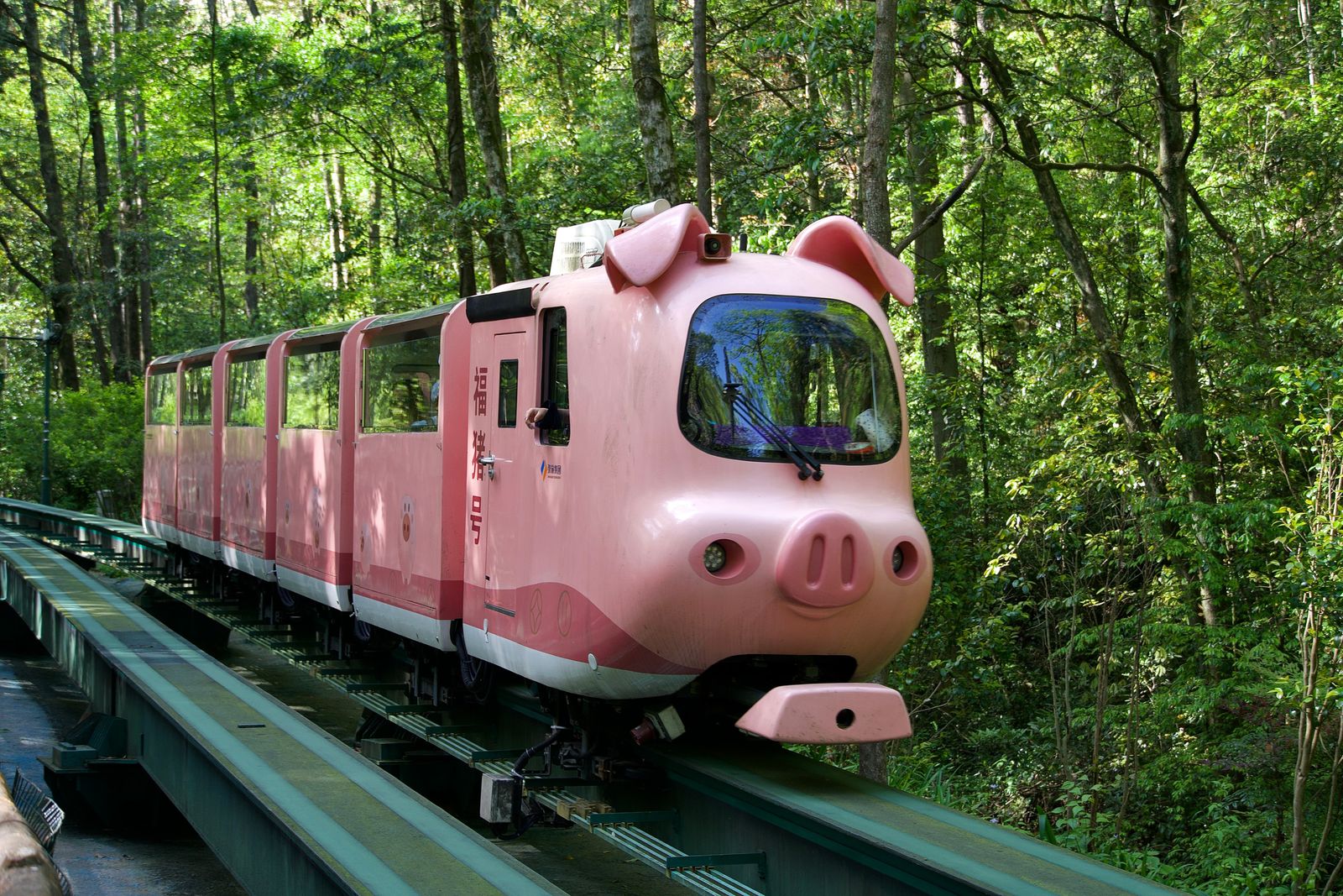 A pink pig-shaped train on elevated tracks among trees, Zhangjiajie