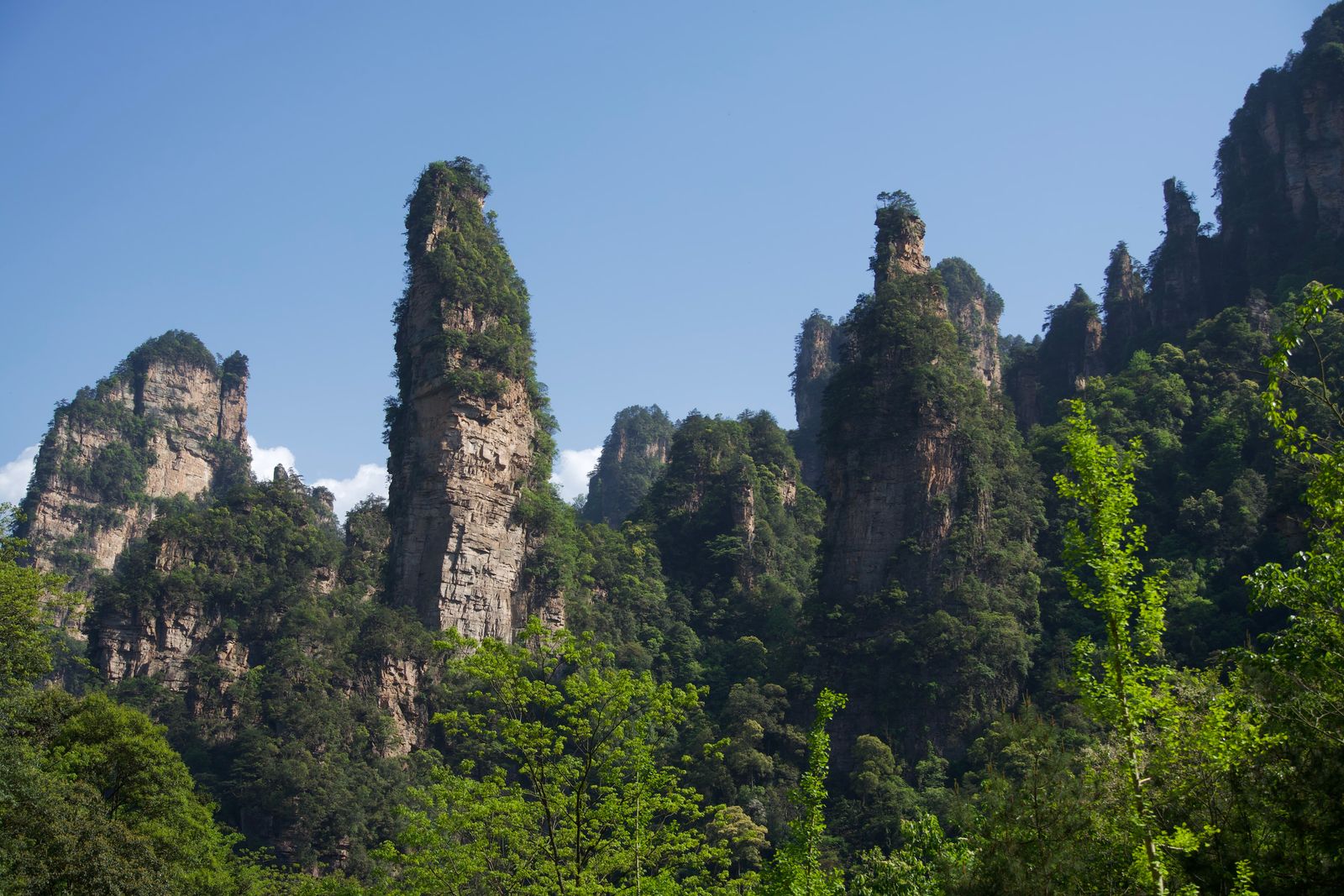 Rock pillars in sunlight beside darker forested cliffs, Zhangjiajie