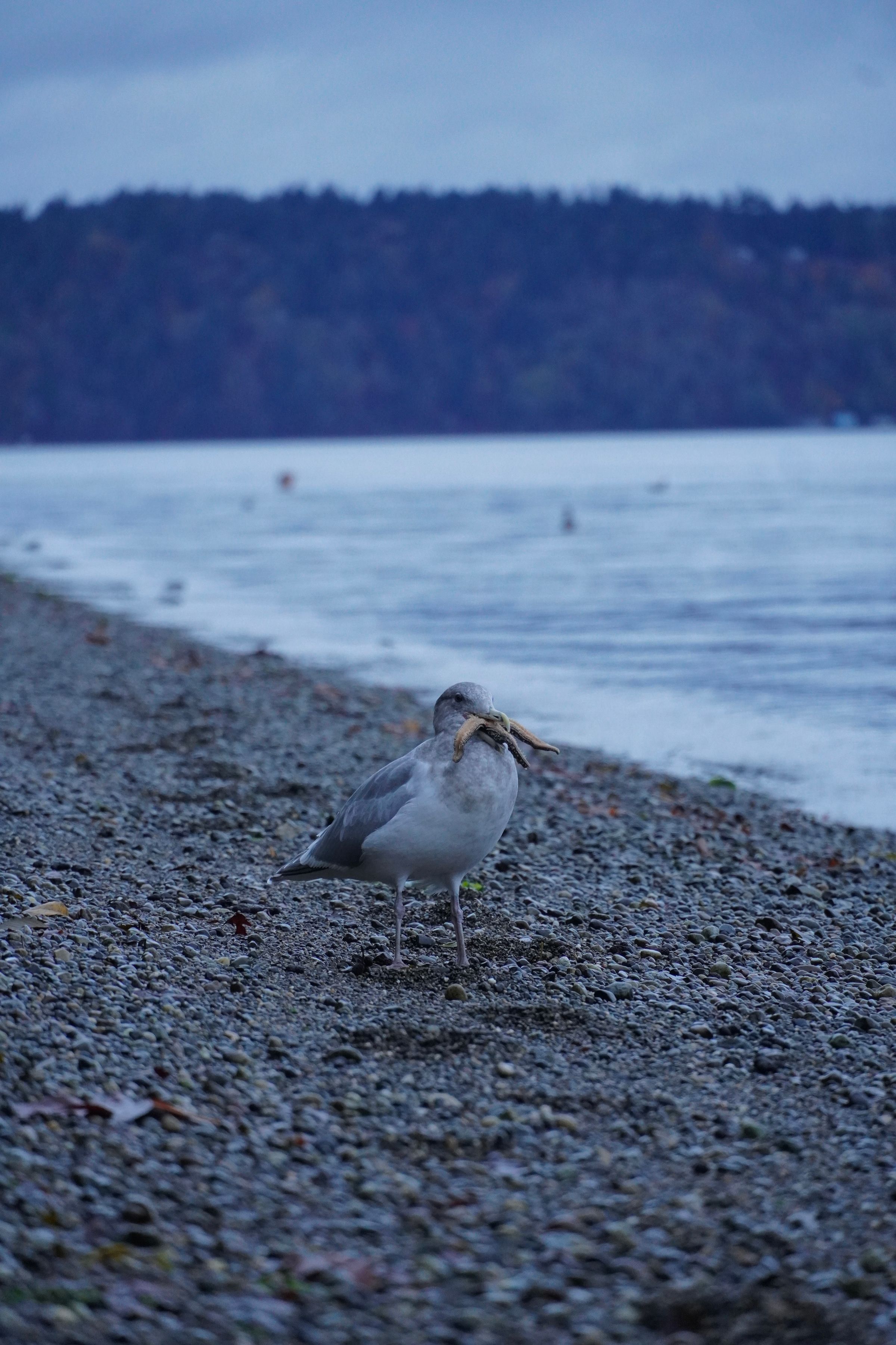 Point Defiance, Washington — cover photograph