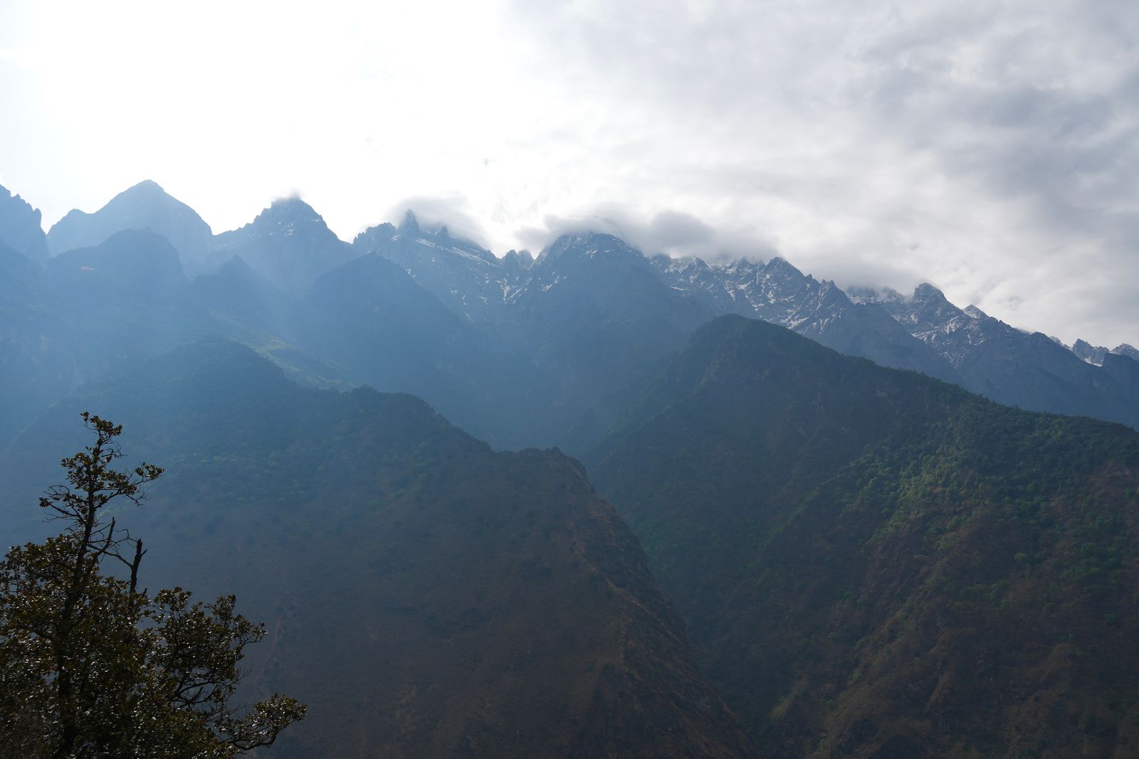 Snow-dusted peaks above wooded ridges and leafy branches, Tiger Leaping Gorge