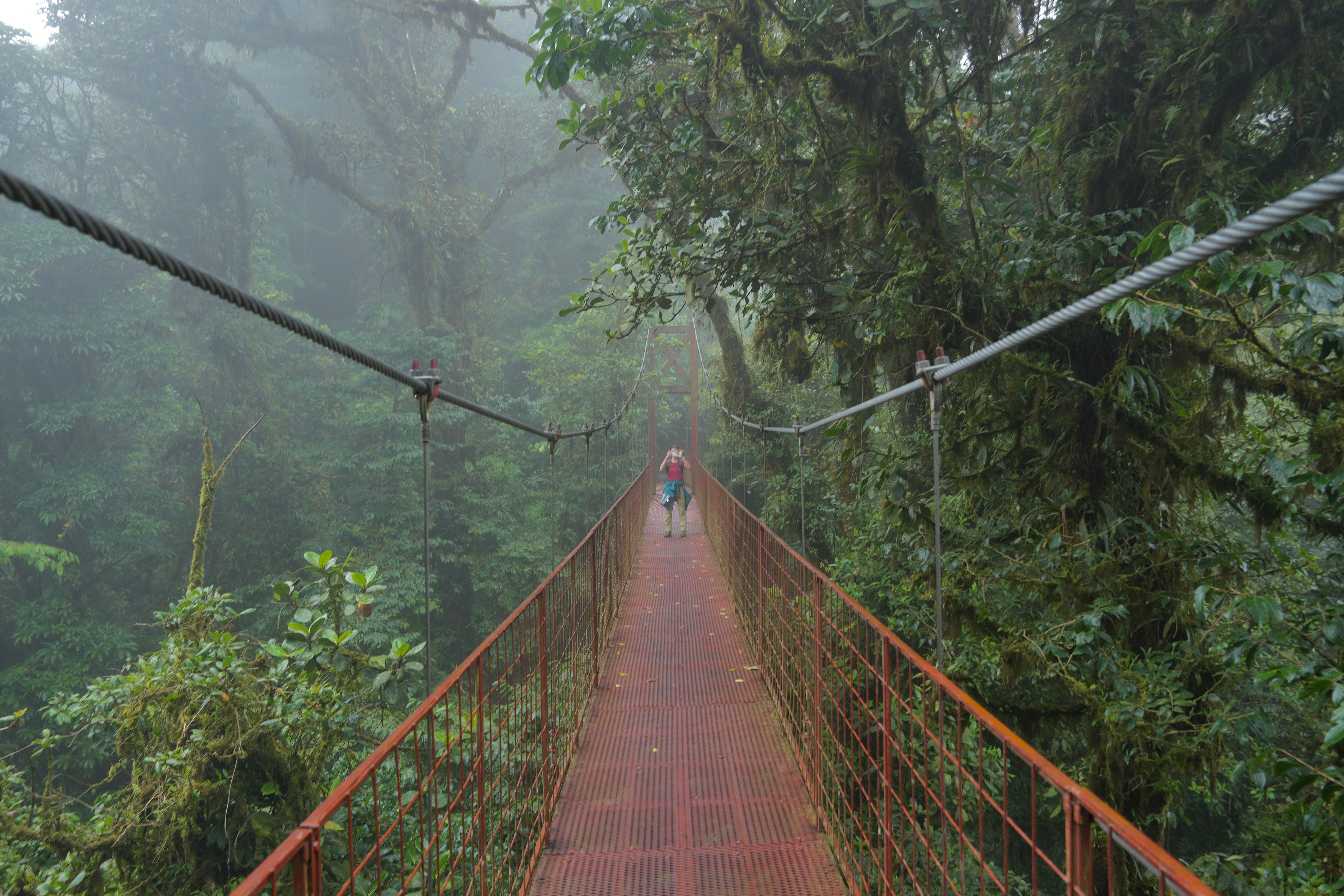 Costa Rica Monteverde Natural Reserve August 2026