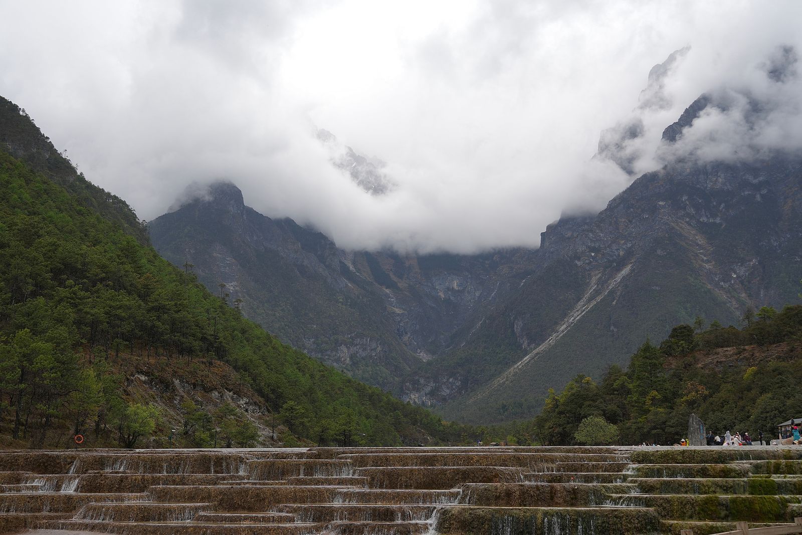 Rocky mountains rising above forested slopes and water-covered terraces in low cloud, Tiger Leaping Gorge