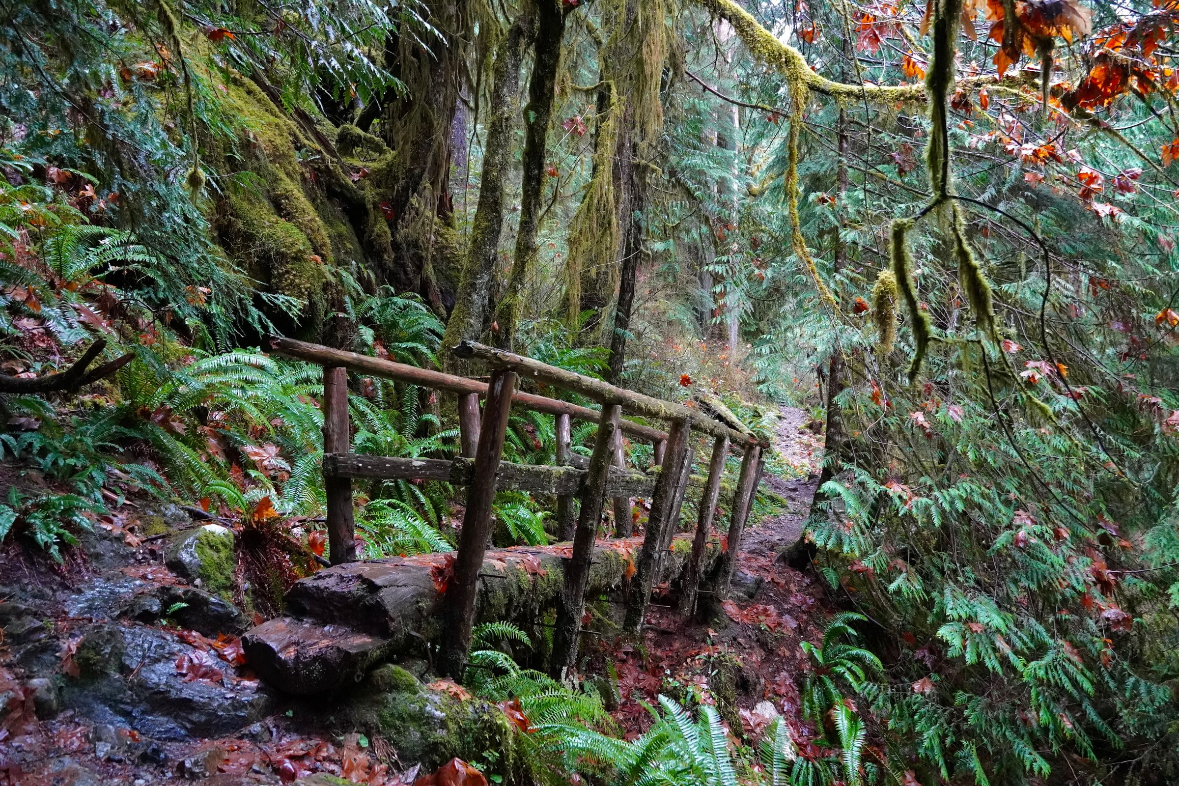 Cascades, Washington — cover photograph