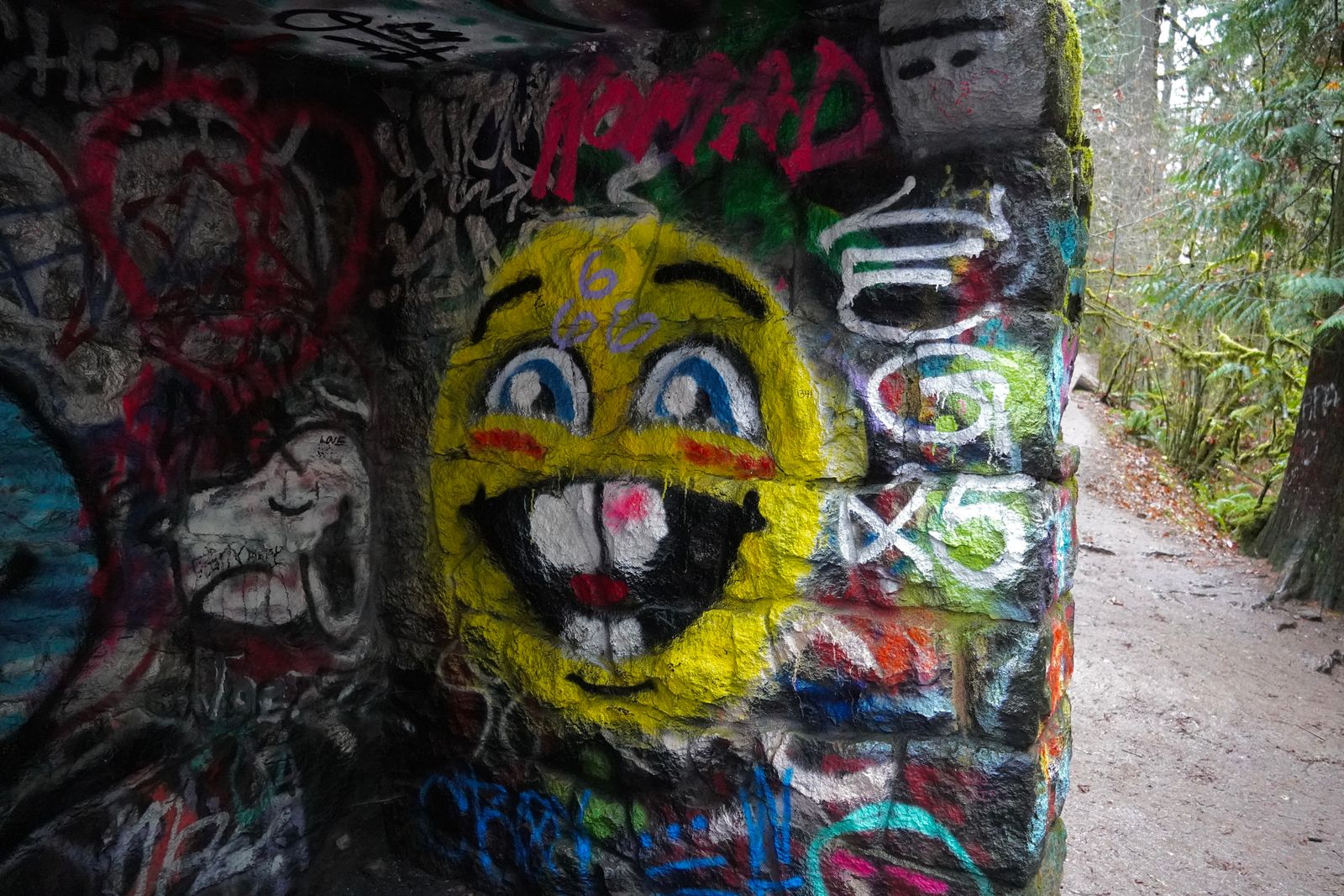 Yellow cartoon face graffiti beside a wooded path, Portland