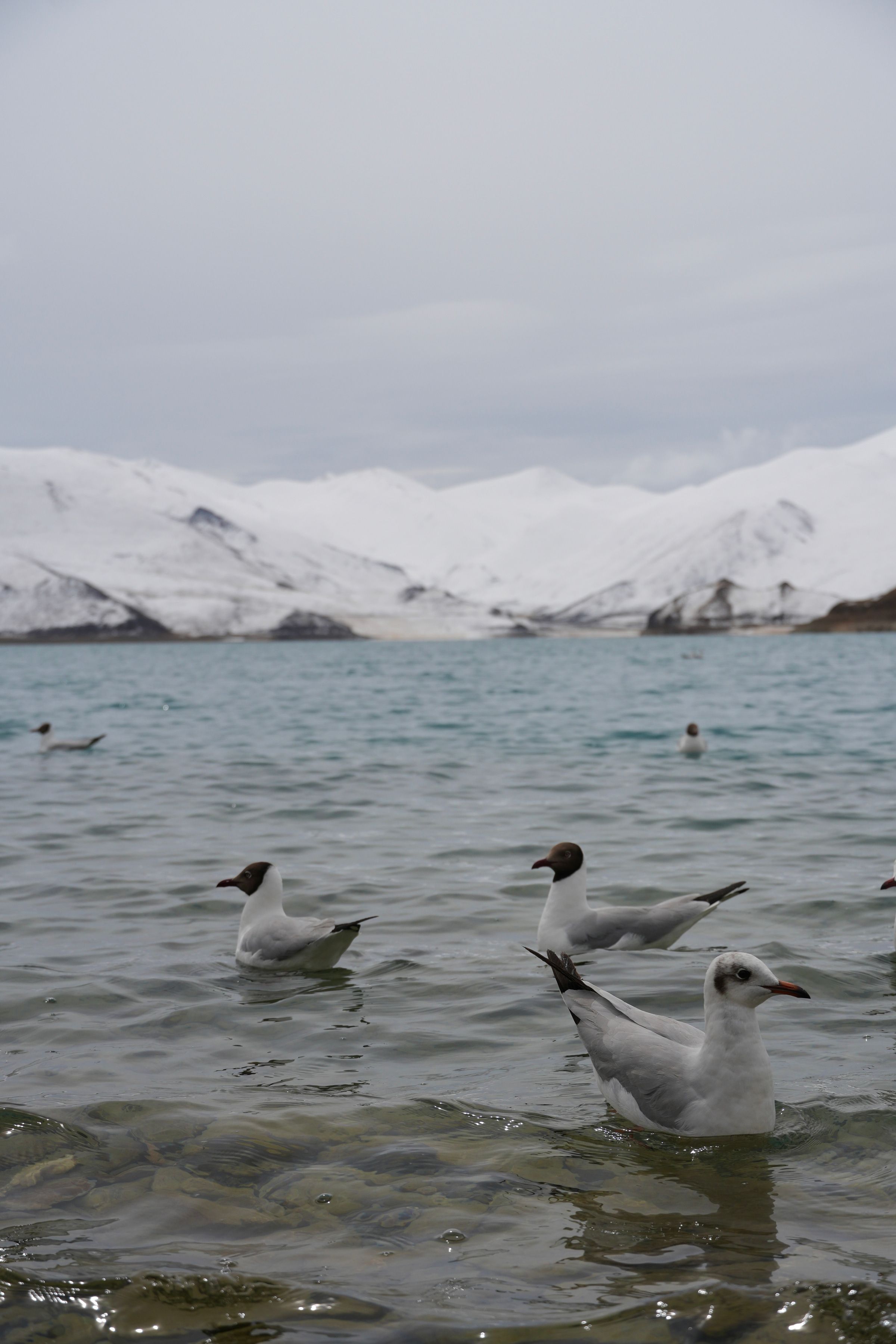 Shannan and Shigatse, Tibet — cover photograph