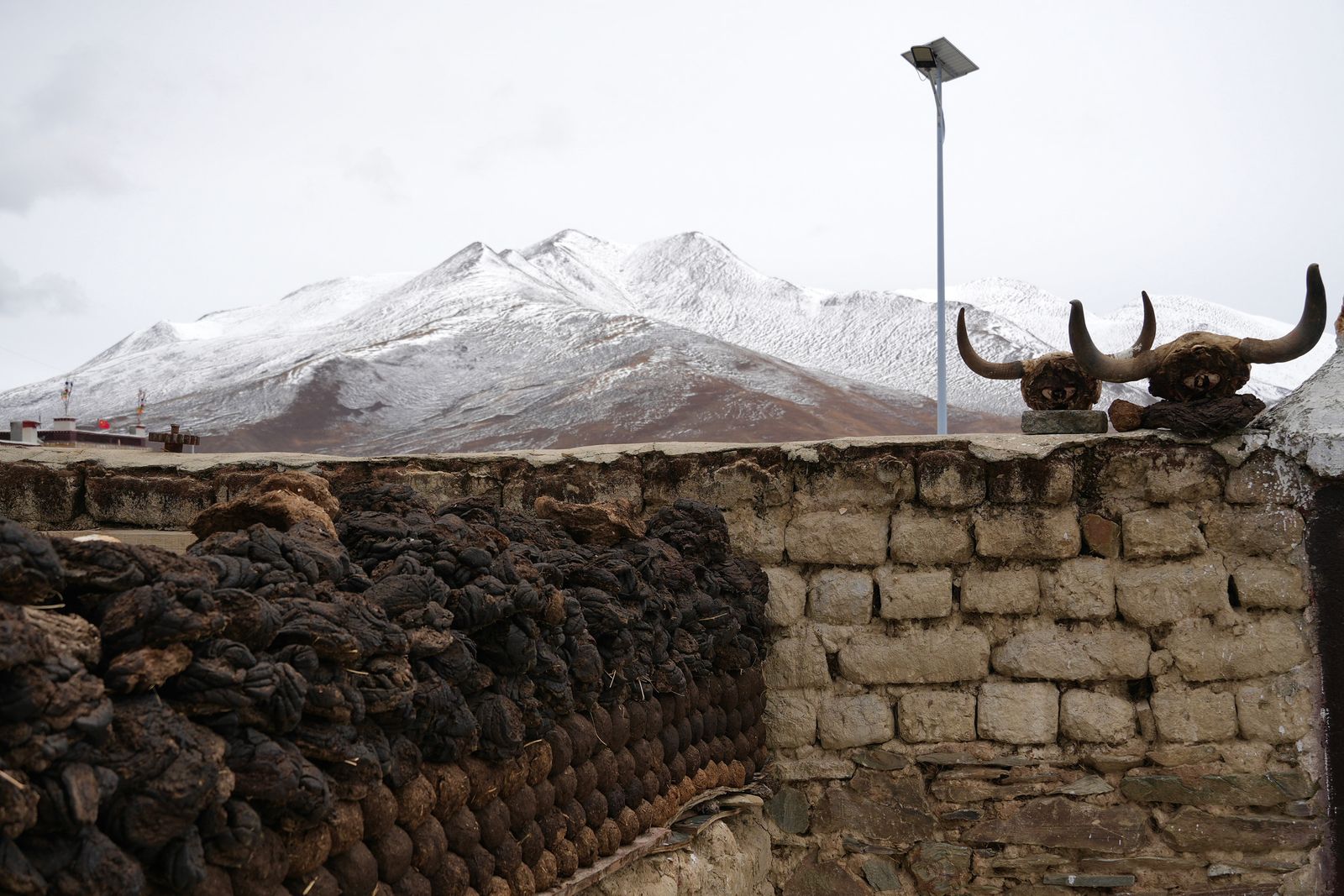 Two horned animal heads on a wall below snowy mountains, Tibetan plateau