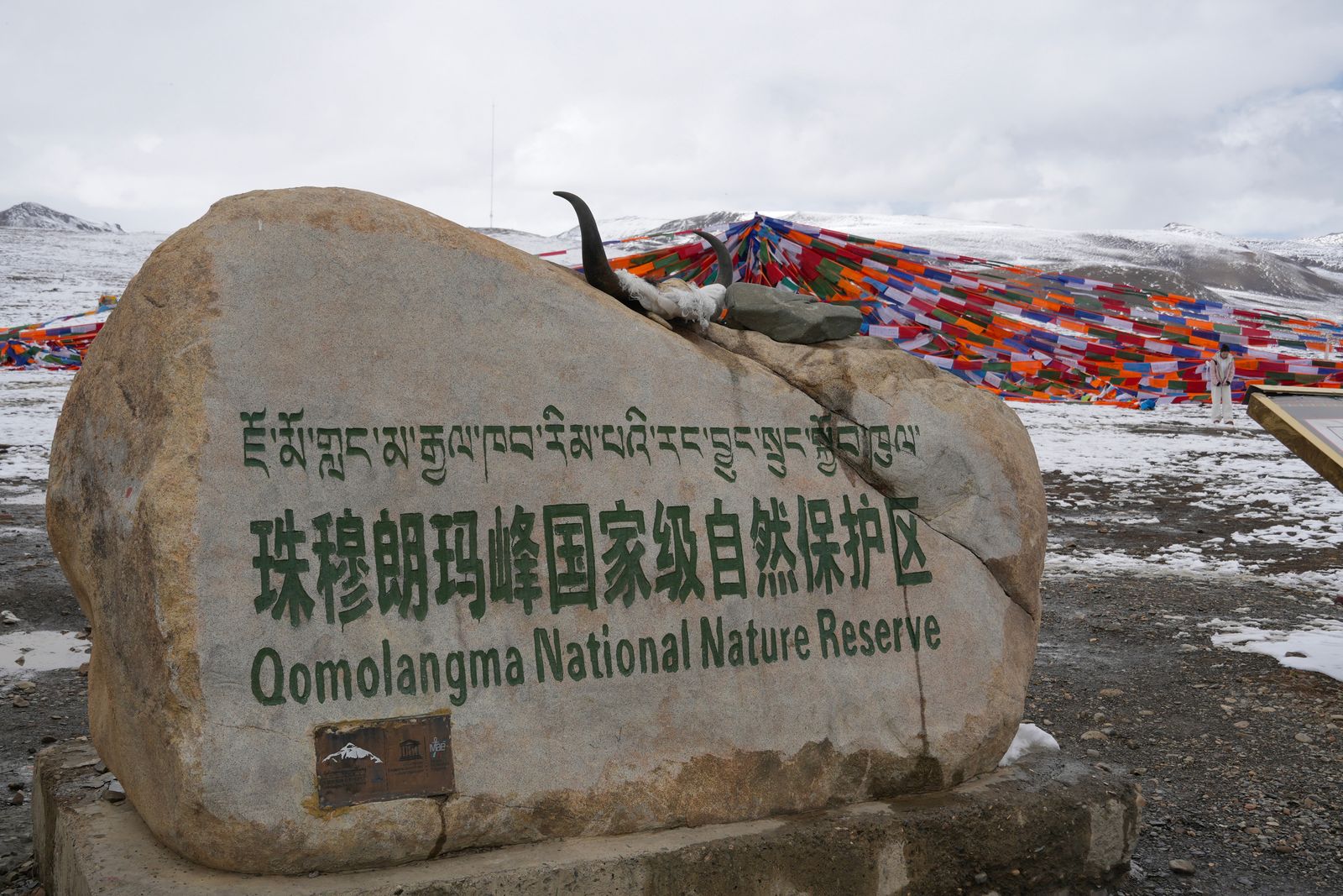 Stone sign with a horned skull beside prayer flags, Tibetan plateau