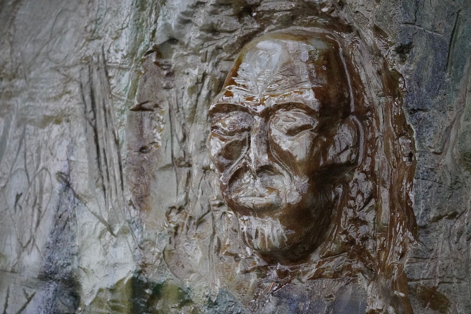 A sculpted face projecting from rough gray-brown relief, Nisqually and Point Defiance