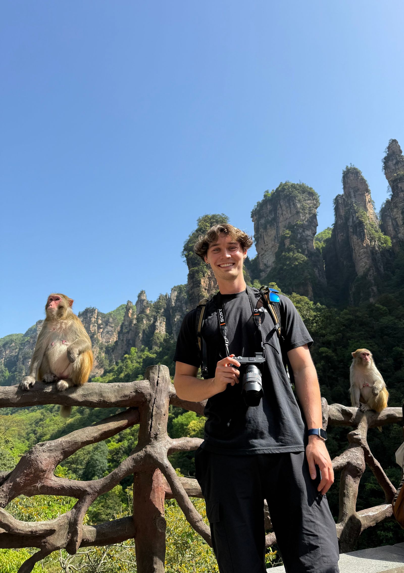 A person with a camera beside monkeys below rock pillars, Zhangjiajie