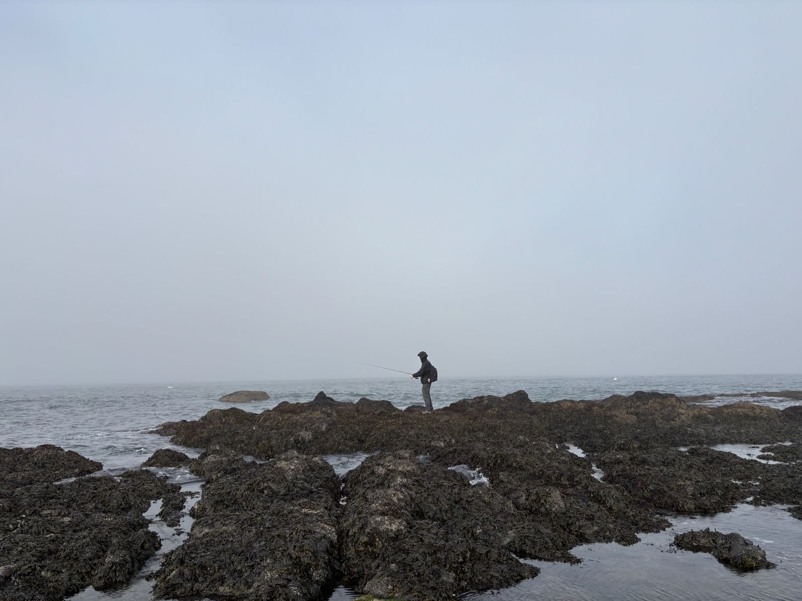 A person fishing on a rocky shore in fog, Olympic National Park