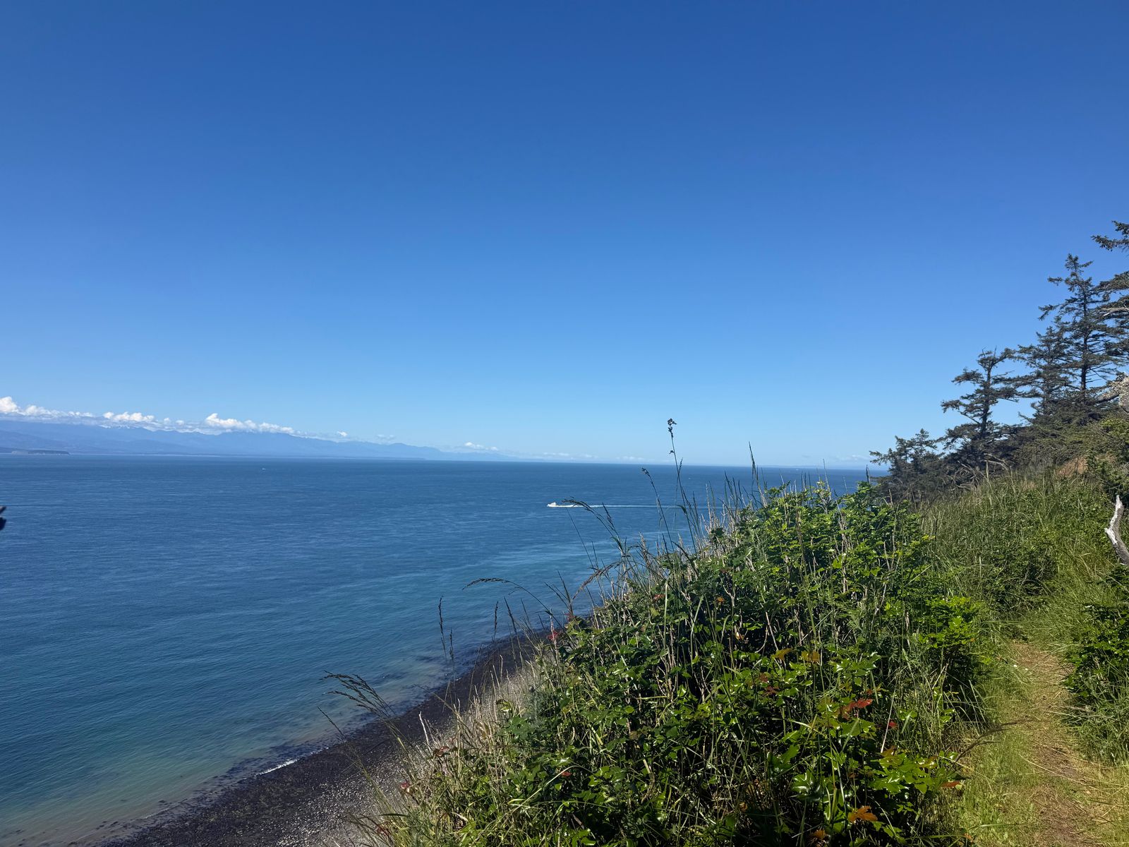 Puget Sound coastline below a grassy bluff with a trail, Puget Sound tide pools