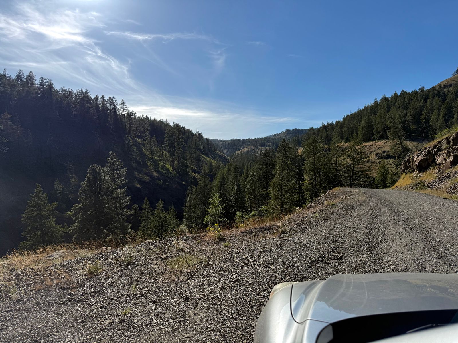 Tree-covered valley beside a gravel road and silver vehicle hood, shrub-steppe