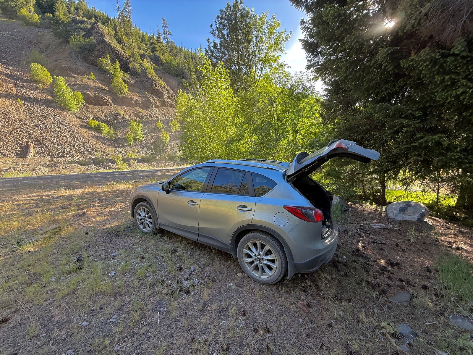 A silver SUV parked beside trees with its hatch open, shrub-steppe