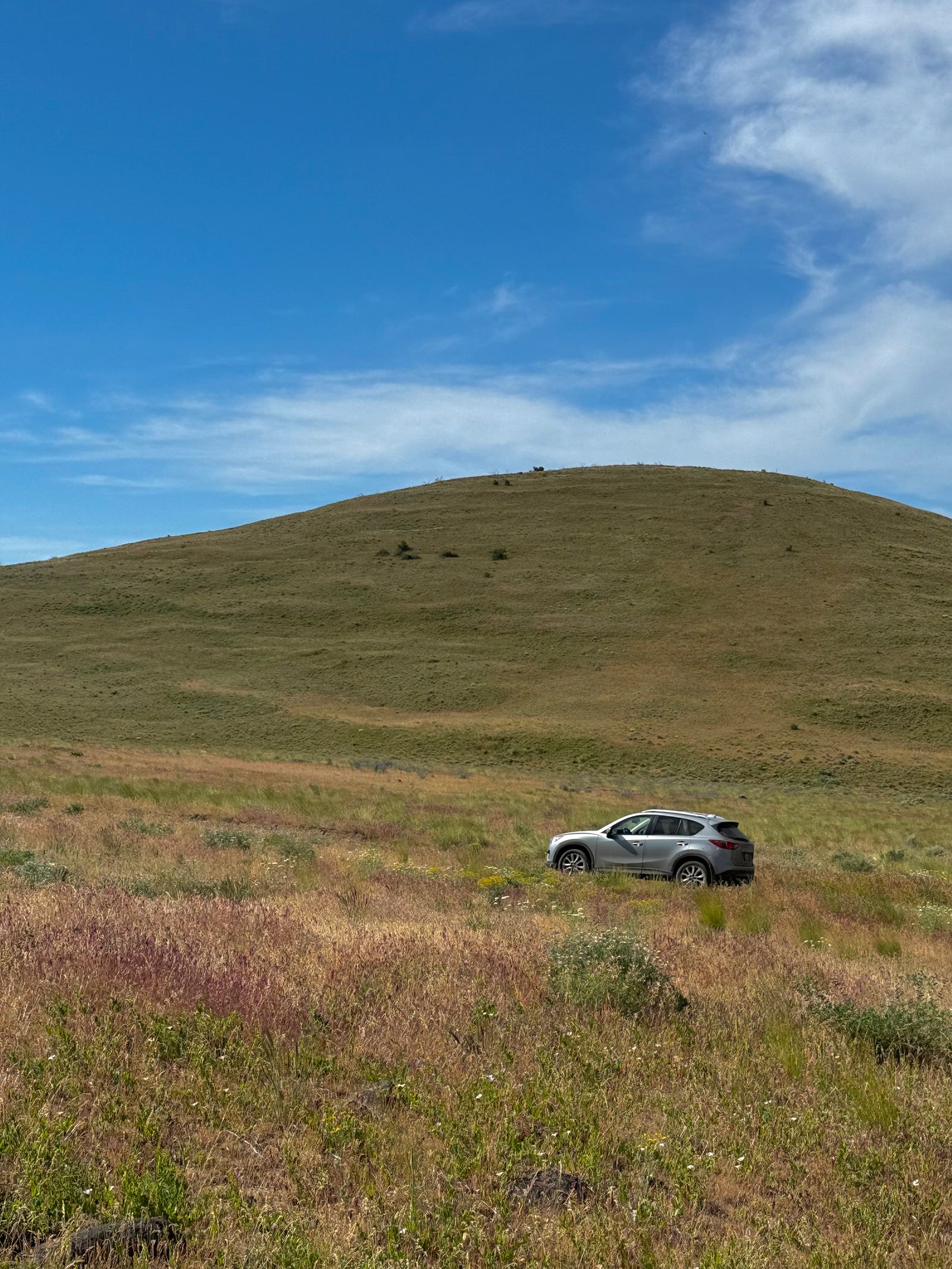 A silver SUV in grass below a rounded hill, shrub-steppe