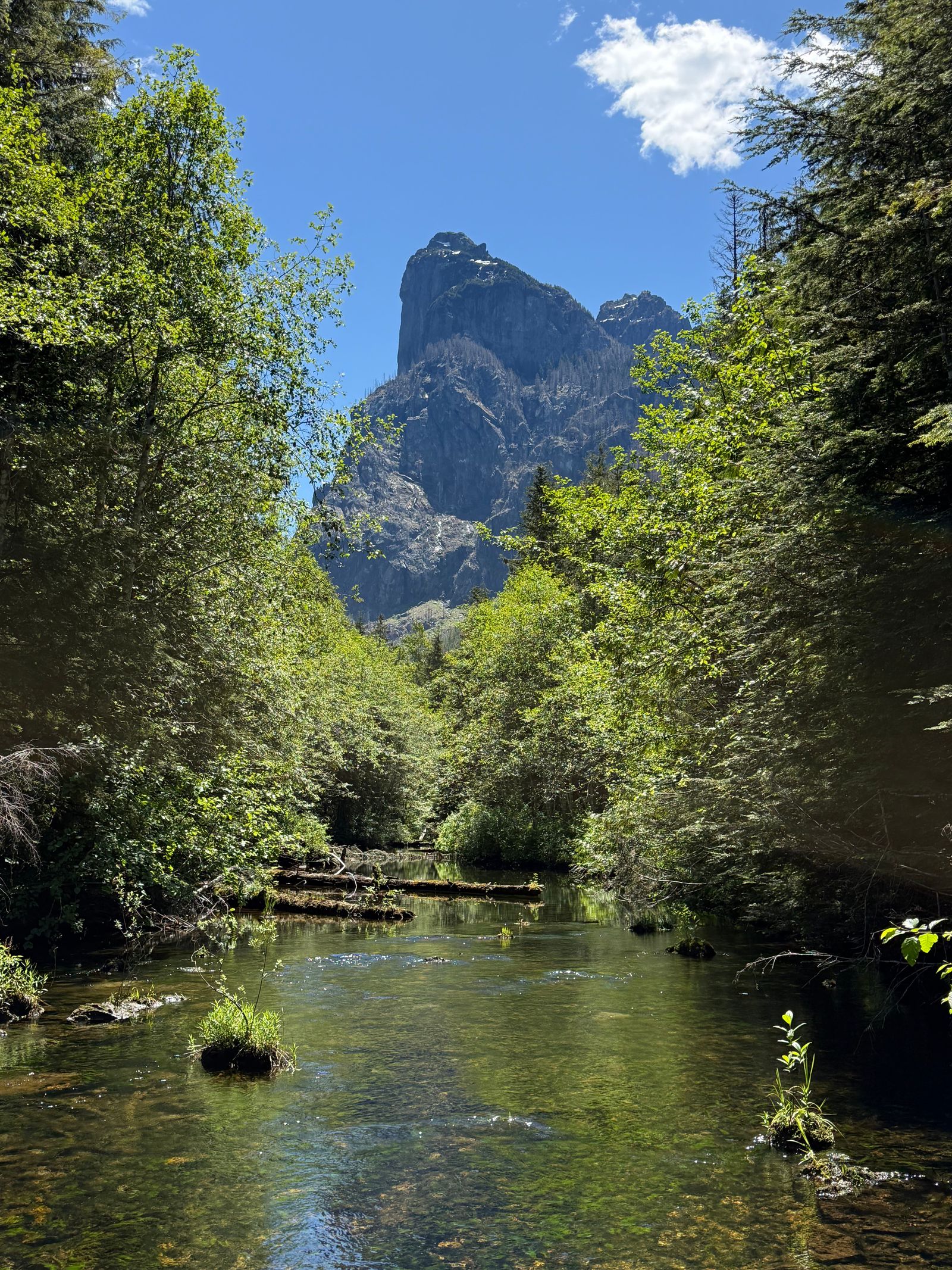 Gunn Peak above a clear stream and fallen logs