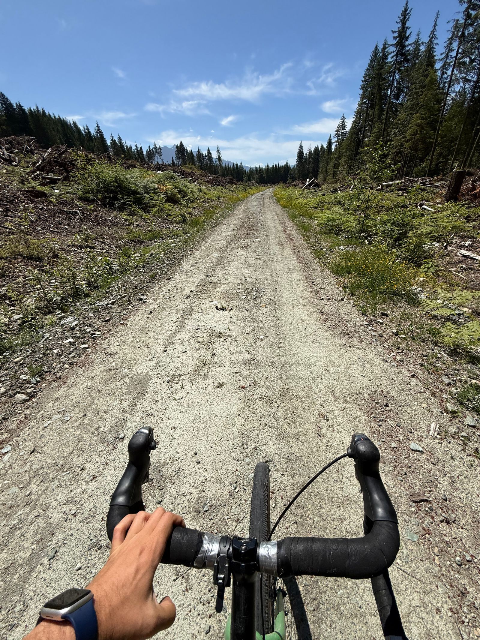 Bicycle handlebars on a gravel road through trees, Sauk Mountain