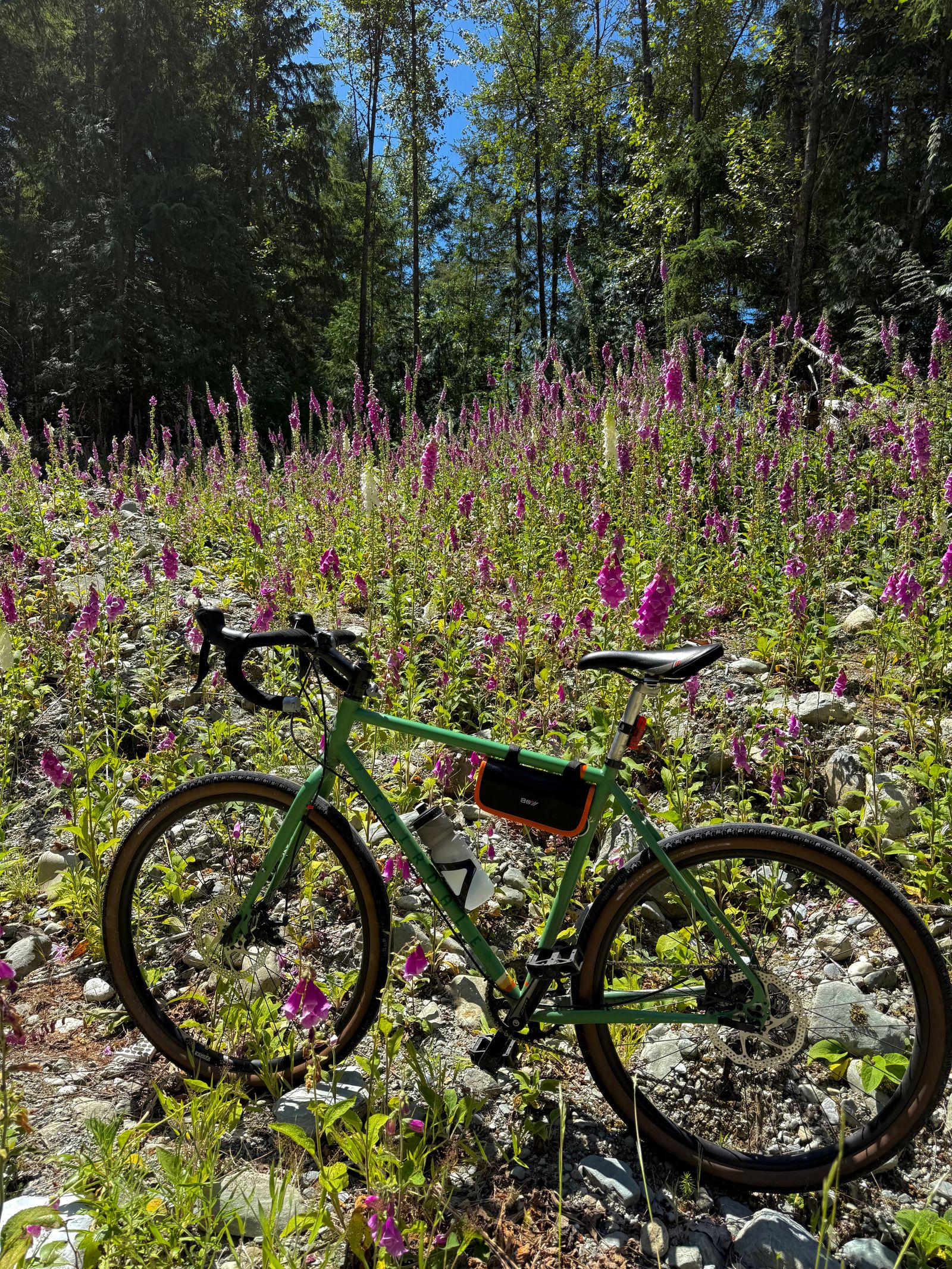 Green bicycle among purple wildflowers on rocky ground, Sauk Mountain