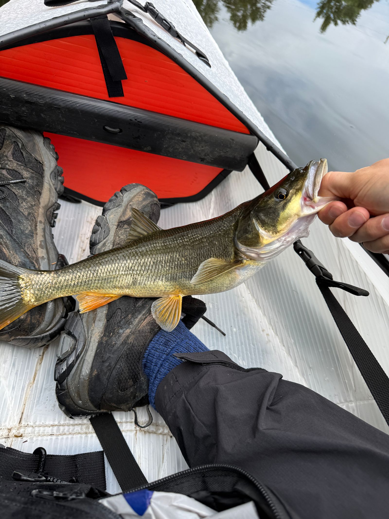 A fish held above muddy boots in a boat, near Seattle