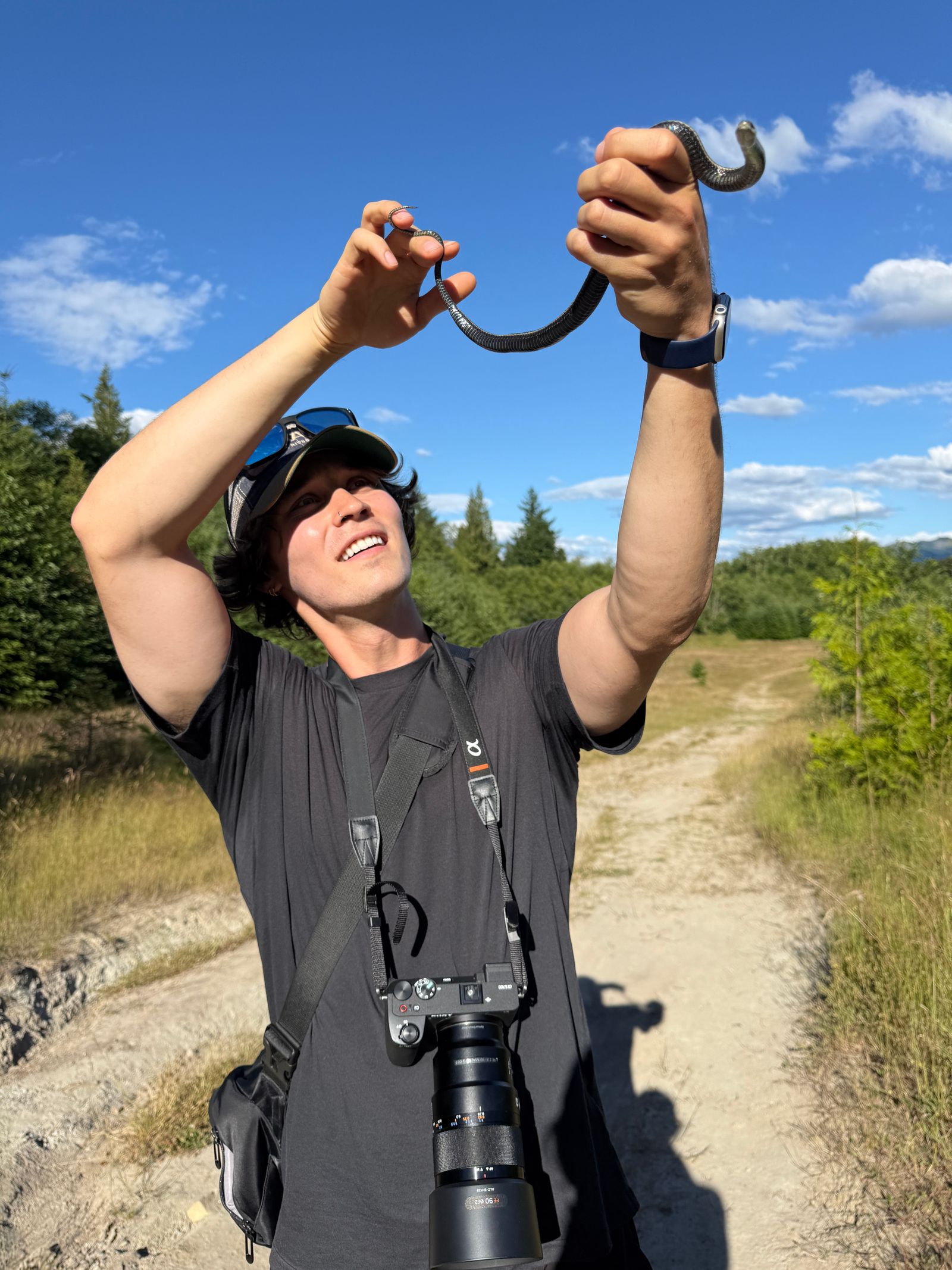 Northwestern garter snake (Thamnophis ordinoides) held by someone on a dirt track, Eastern Washington