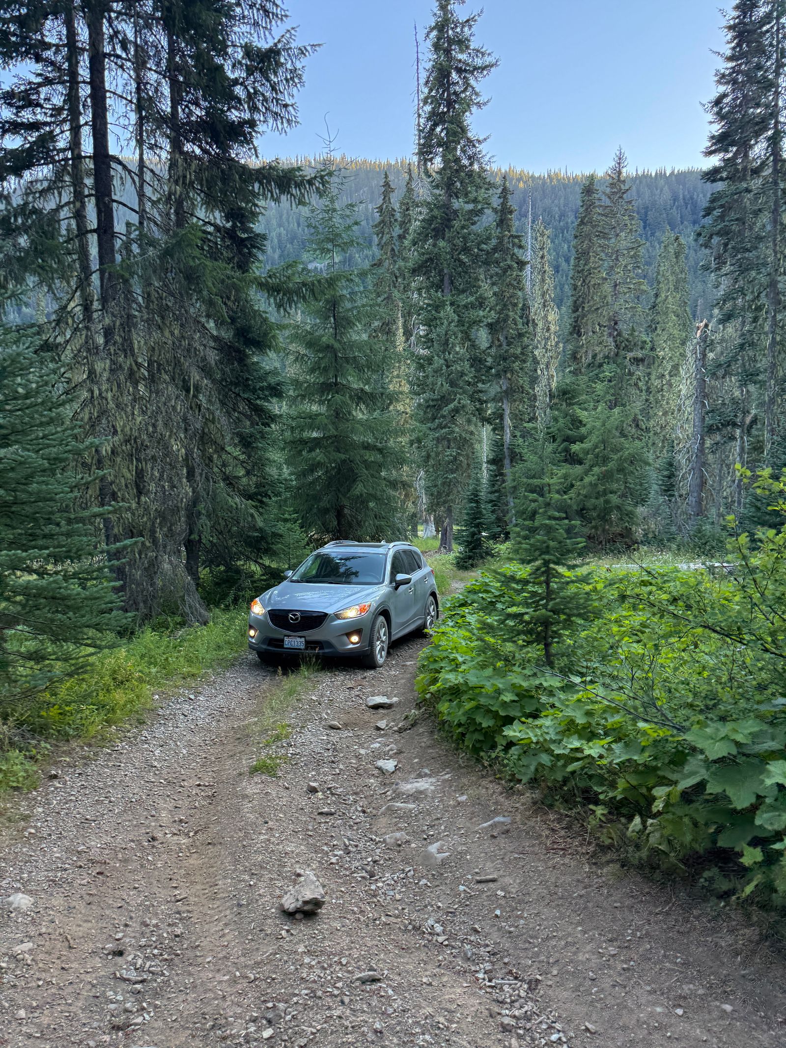 A silver SUV with lights on along a forest track, Eastern Washington
