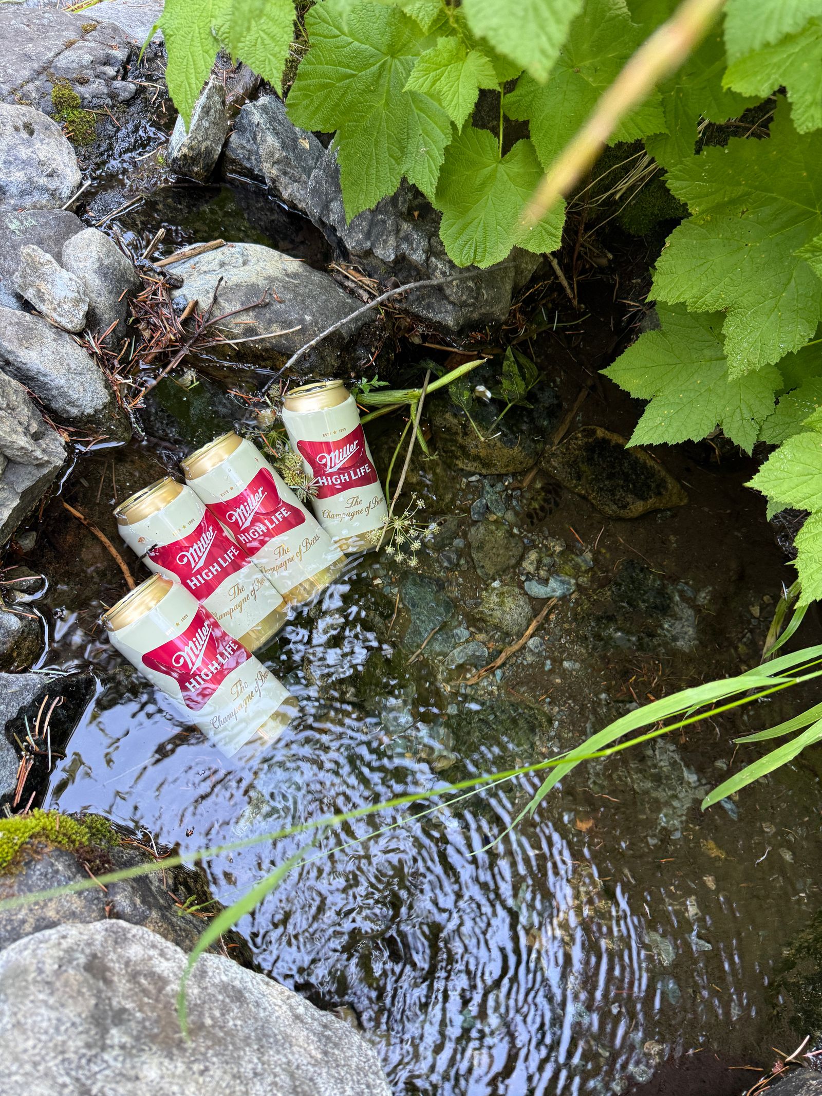 Four beer cans partly submerged in a rocky stream, Eastern Washington