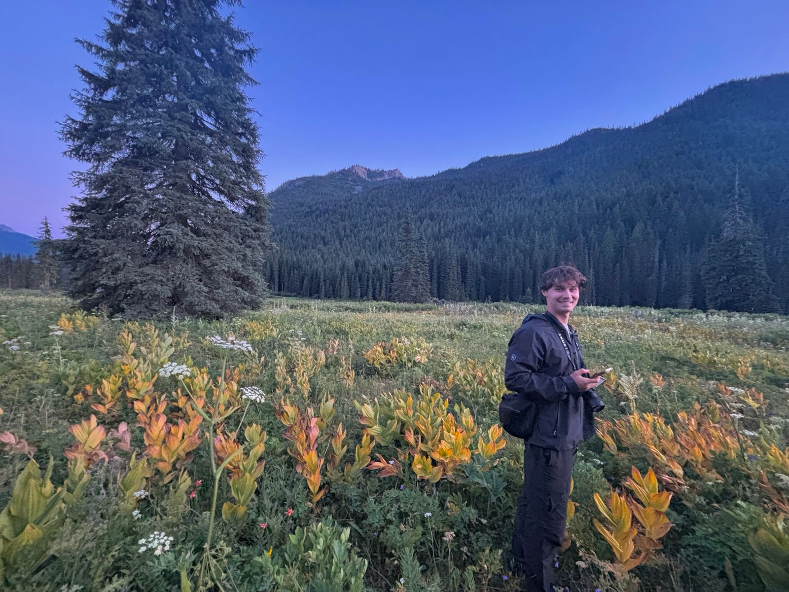 A person holding a phone below forested slopes, Eastern Washington
