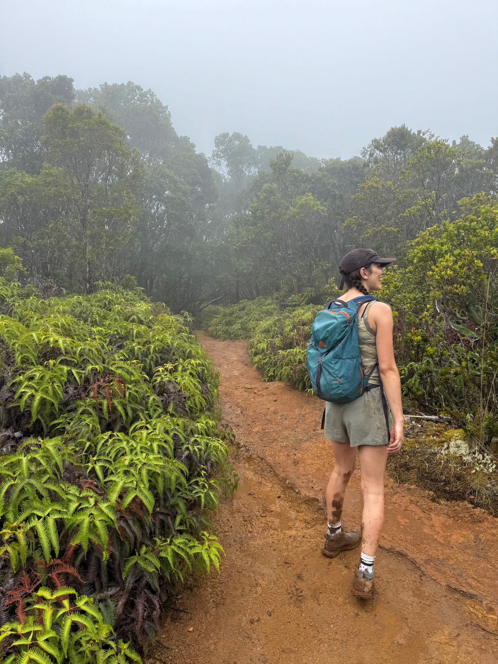 A hiker on a fern-lined trail in fog, Napali Coast