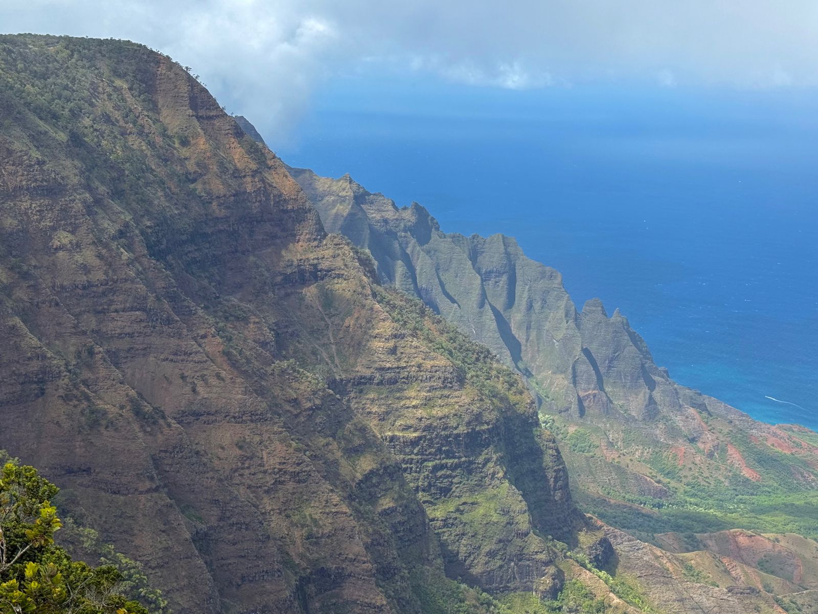 Napali Coast above blue ocean and leafy branches