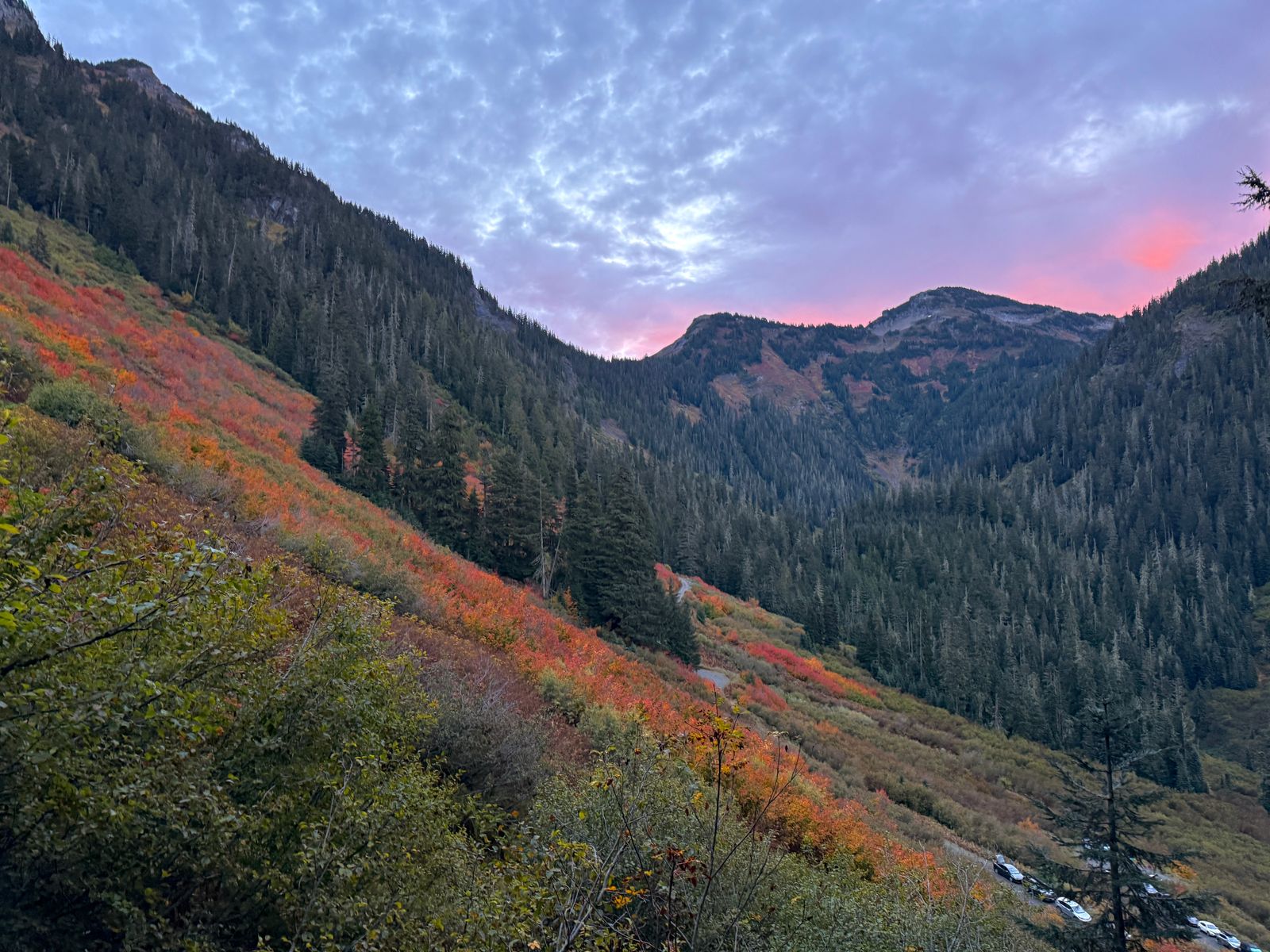 Forested mountain slopes above fall colors under pink clouds, Yellow Aster Butte
